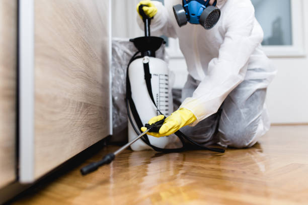 Best Affordable Pest Control Services  in Mccord, OK