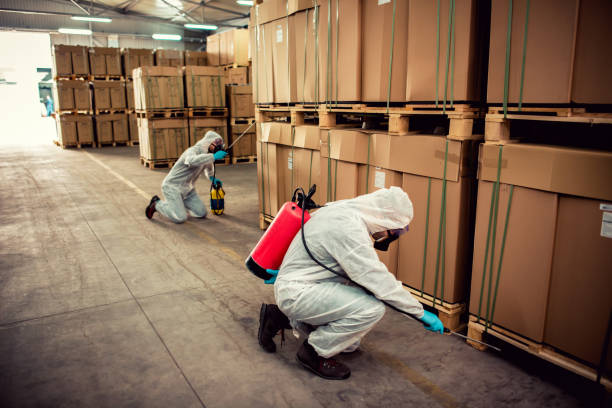 Best Wildlife Control Services  in Mccord, OK