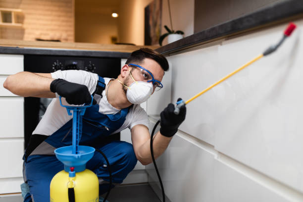 Best Pest Removal Services  in Mccord, OK