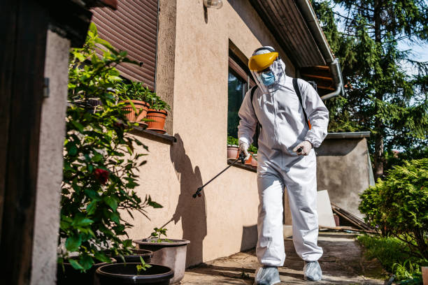 Best Bed Bug Extermination  in Mccord, OK