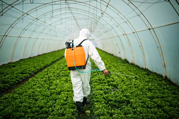 Best Pest Prevention Services  in Mccord, OK