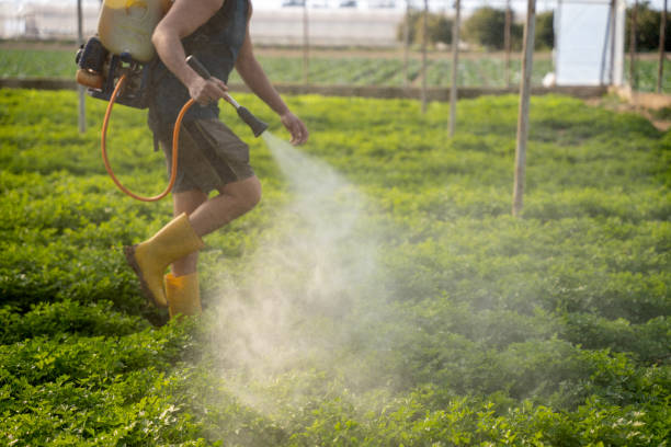 Best Commercial Pest Control Services  in Mccord, OK