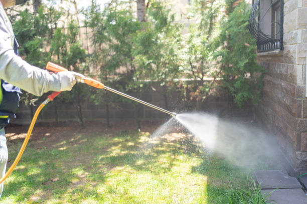 Best Wildlife Control Services  in Mccord, OK