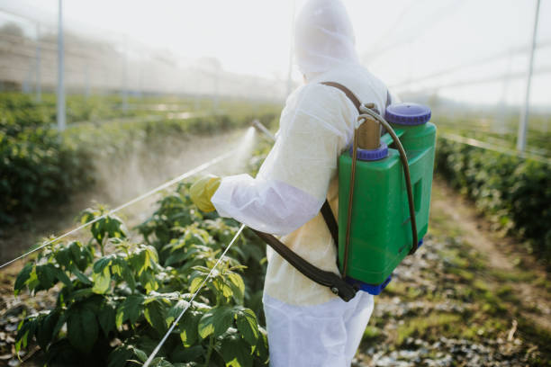Best Affordable Pest Control Services  in Mccord, OK